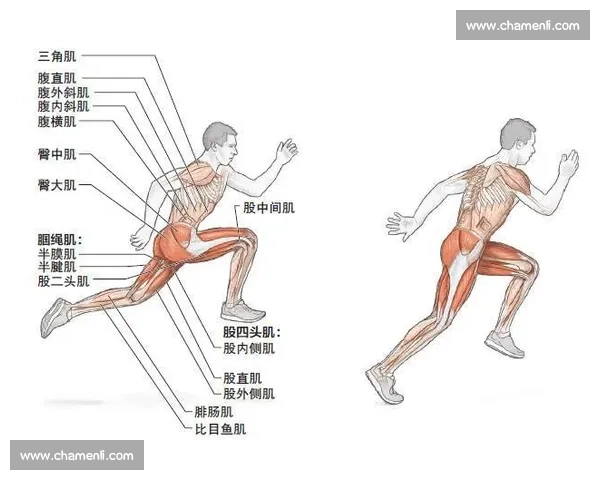 无氧运动科学训练方法与肌肉力量快速提升全解析
