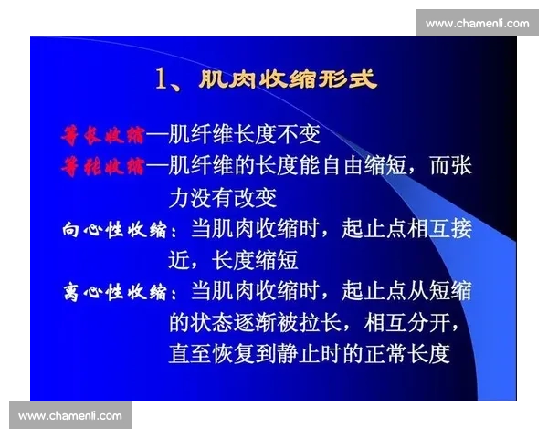 全面解析运动与日常生活中的能量补给与身体恢复策略