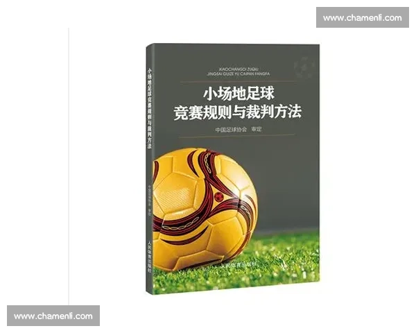体育赛事规则详解与裁判判罚标准全解析