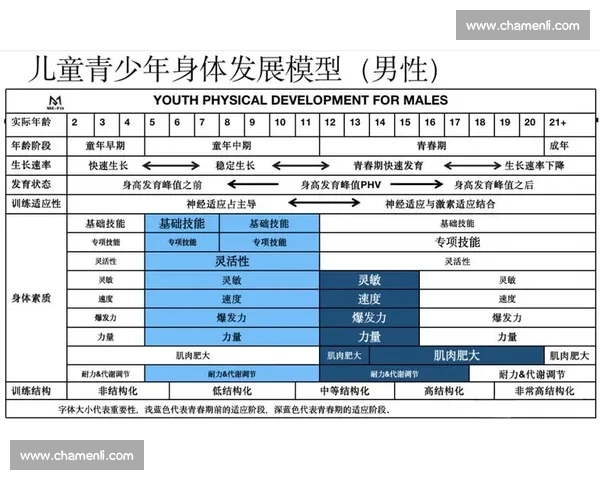 全面解析学生身体素质与运动能力的科学体育评估研究