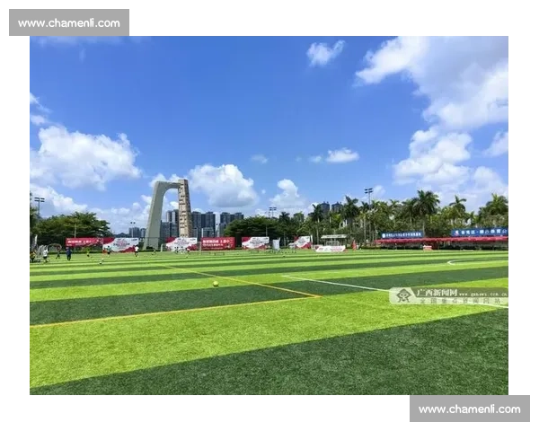 推动全民体育与健康协调发展构建可持续体质提升新格局 推动全民体育与健康协调发展构建可持续体质提升新格局