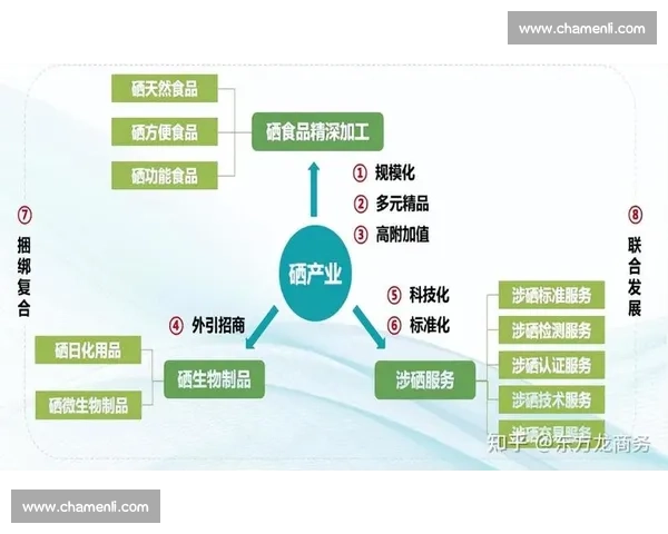 打造区域体育资源整合平台推动全民健身与产业发展新格局