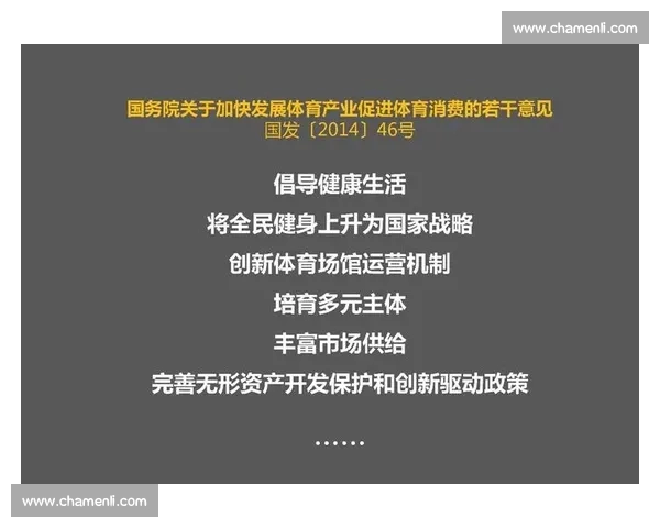体育团队高效运营策略与管理创新实践研究