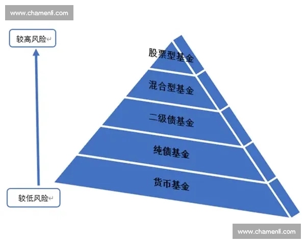 构建多层级体育比赛体系促进竞技水平与全民参与协同发展路径探索 构建多层级体育比赛体系促进竞技水平与全民参与协同发展路径探索
